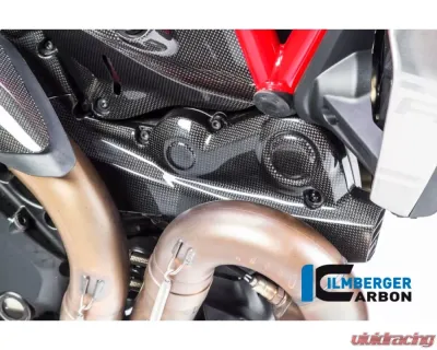 Ilmberger Gloss Belt Cover Carbon - Ducati Monster 821|1200|1200 R/S - ZAH.012.D12MG.K