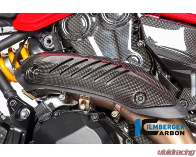 Ilmberger Gloss Exhaust Protection Manifold - Ducati Monster 821|1200|1200 R/S - AHK.004.D12MG.K