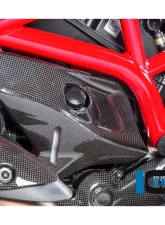 Ilmberger Gloss Under Fram Cover Right Side - Ducati Monster 821|1200|1200 R/S                                     - ARR.006.D12MG.K - Image 5