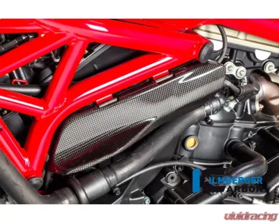 Ilmberger Gloss Under Frame Cover Left Side - Ducati Monster 821|1200|1200 R/S - ARL.005.D12MG.K