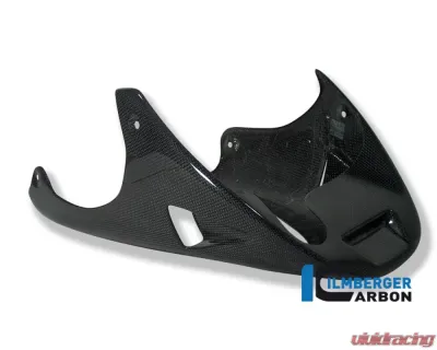 Ilmberger Bellypan Carbon - Ducati Monster 900 - VEO.010.900MO.K