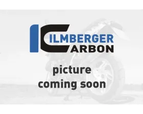 Ilmberger Gloss Alternator Cover Ducati 1299|959 Panigale