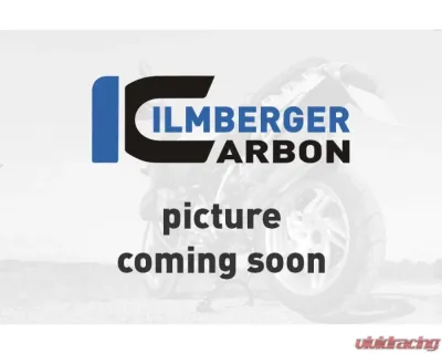 Ilmberger Gloss Alternator Cover Ducati 1299|959 Panigale - LIA.021.1299G.K