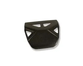 Ilmberger Exhaust Valve Protection Carbon - Ducati Diavel