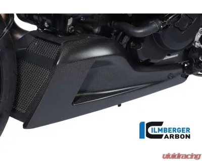 Ilmberger Bellypan Left Side Carbon - Ducati Diavel - VEU.015.DIAVE.K