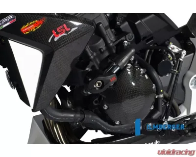 Ilmberger Alternator Cover Carbon - Honda CB 1000 R - LMD.003.CB10R.K