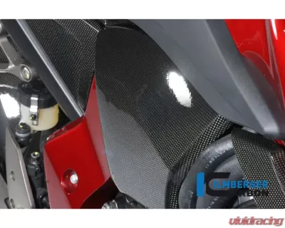 Ilmberger Airbox Cover Right Carbon - Honda CB 1000 R - ABR.008.CB10R.K