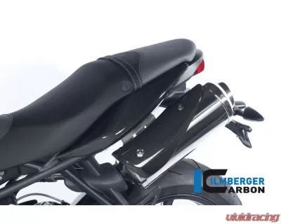 Ilmberger Exhaust Protection Left Carbon - Triumph Street Triple 675 - AHL.003.TRSTR.K