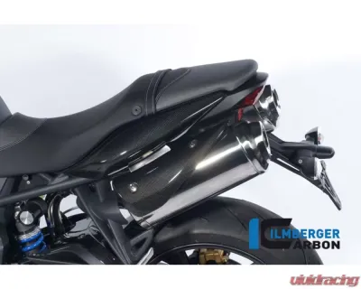 Ilmberger Exhaust Protection Left Carbon - Triumph Street Triple 675 - AHL.003.TRSTR.K