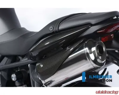 Ilmberger Exhaust Protection Left Carbon - Triumph Street Triple 675 - AHL.003.TRSTR.K