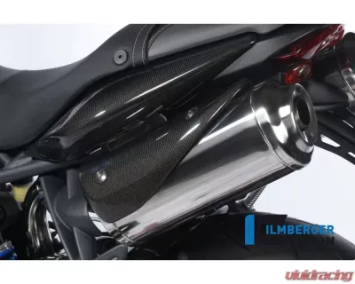 Ilmberger Exhaust Protection Left Carbon - Triumph Street Triple 675 - AHL.003.TRSTR.K