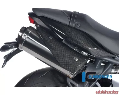 Ilmberger Exhaust Protection Right Carbon - Triumph Street Triple 675 - AHR.004.TRSTR.k