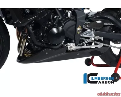 Ilmberger Bellypan Carbon - Triumph Street Triple 675 - VEU.012.TRSTR.K