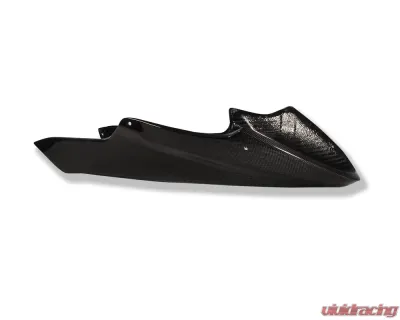 Ilmberger Bellypan Carbon - Triumph Street Triple 675 - VEU.012.TRSTR.K