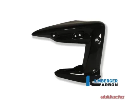 Ilmberger Radiator Cover Right Carbon - Triumph Street Triple 675 - WKR.010.TRSTR.K