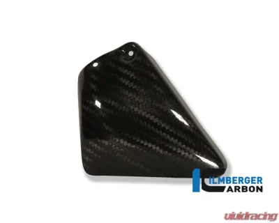 Ilmberger Upper Front Frame Cover Left Carbon - Harley Davidson V-Rod - RHL.003.HDVRG.K