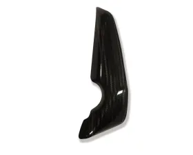 Ilmberger Radiator Cover Right Carbon - Harley Davidson V-Rod