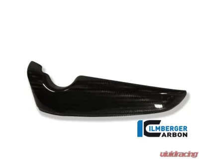 Ilmberger Radiator Cover Right Carbon - Harley Davidson V-Rod - WKR.005.HDVRG.K