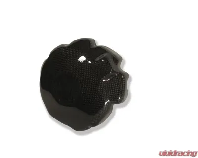 Ilmberger Alternator Cover Protection Carbon - Honda CBR 1000 RR 2008-2011 - LMD.003.CBR19.K