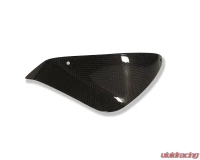 Ilmberger Chainguard Carbon - MV Agusta Brutale 750/910 | F4 - KHO.015.MVBRU.K