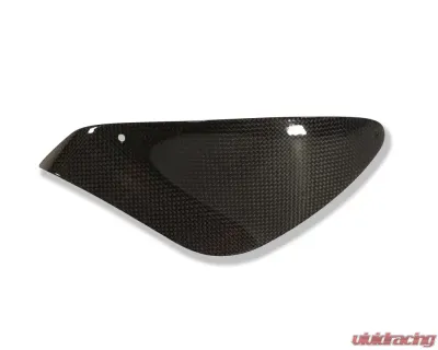 Ilmberger Chainguard Carbon - MV Agusta Brutale 750/910 | F4 - KHO.015.MVBRU.K