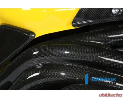 Ilmberger Frame Cover Right Carbon - Triumph Speed Triple 2011-2015 - RAR.004.TRSPT.K