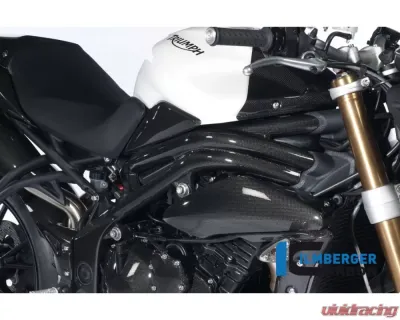 Ilmberger Frame Cover Right Carbon - Triumph Speed Triple 2011-2015 - RAR.004.TRSPT.K