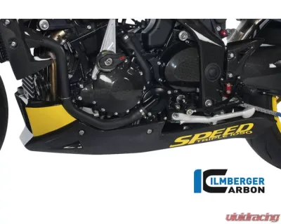 Ilmberger Alternator Cover Carbon - Triumph Speed Triple 2011-2015 - LDA.024.TRSPT.K