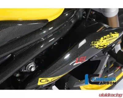 Ilmberger Frame Cover Right Carbon - Triumph Speed Triple 2011-2015 - RAR.004.TRSPT.K
