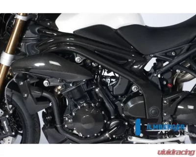 Ilmberger Frame Cover Left Carbon - Triumph Speed Triple 2011-2015 - RAL.003.TRSPT.K