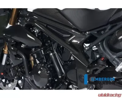 Ilmberger Frame Cover Left Carbon - Triumph Speed Triple 2011-2015 - RAL.003.TRSPT.K