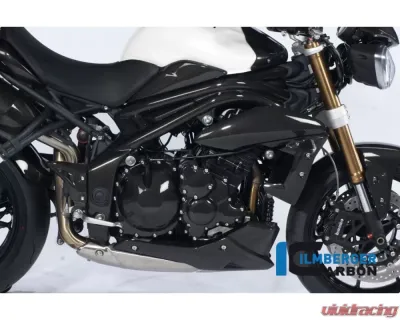 Ilmberger Frame Cover Right Carbon - Triumph Speed Triple 2011-2015 - RAR.004.TRSPT.K