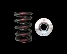 Brian Crower Dual Spring/Titanium Retainer Kit Nissan SR20 VE