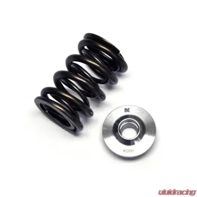 Brian Crower Dual Spring/Titanium Retainer Kit Nissan SR20 VE - BC0240