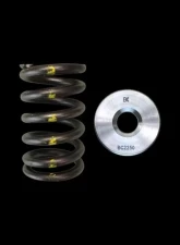 Brian Crower Single Spring/Titanium Retainer Kit Nissan TB48                                     - BC0250 - Image 2