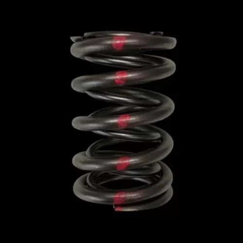 Brian Crower Valve Springs Dual Honda C30A/C32B NSX - BC1030-24
