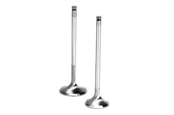 Valves