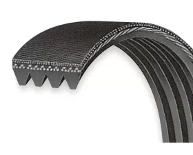 VMP Performance Belt 4-Rib Accessory for 5.0/5.2 L with VMP/ATI Balancer