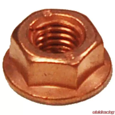 BRExhaust Exhaust Nut - 258-038