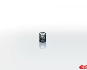 Eibach ERS Helper Single Spring Kit HELPER200