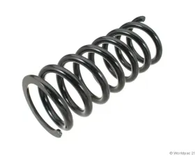 Lesjofors Coil Spring Mercedes-Benz Rear