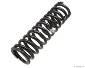 Lesjofors Coil Spring Mercedes-Benz Front