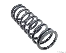 Lesjofors Coil Spring Mercedes-Benz Rear