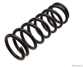 Lesjofors Coil Spring Mercedes-Benz Rear