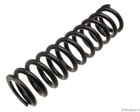 Lesjofors Coil Spring Mercedes-Benz Front