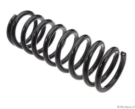 Lesjofors Coil Spring Mercedes-Benz Rear
