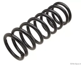 Lesjofors Coil Spring Mercedes-Benz Rear