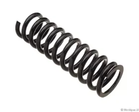Lesjofors Coil Spring Mercedes-Benz Rear