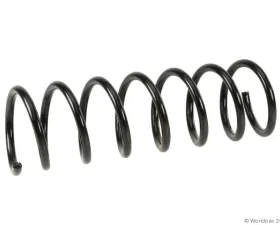 Lesjofors Coil Spring Rear