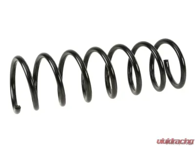 Lesjofors Coil Spring Rear - W0133-2041757